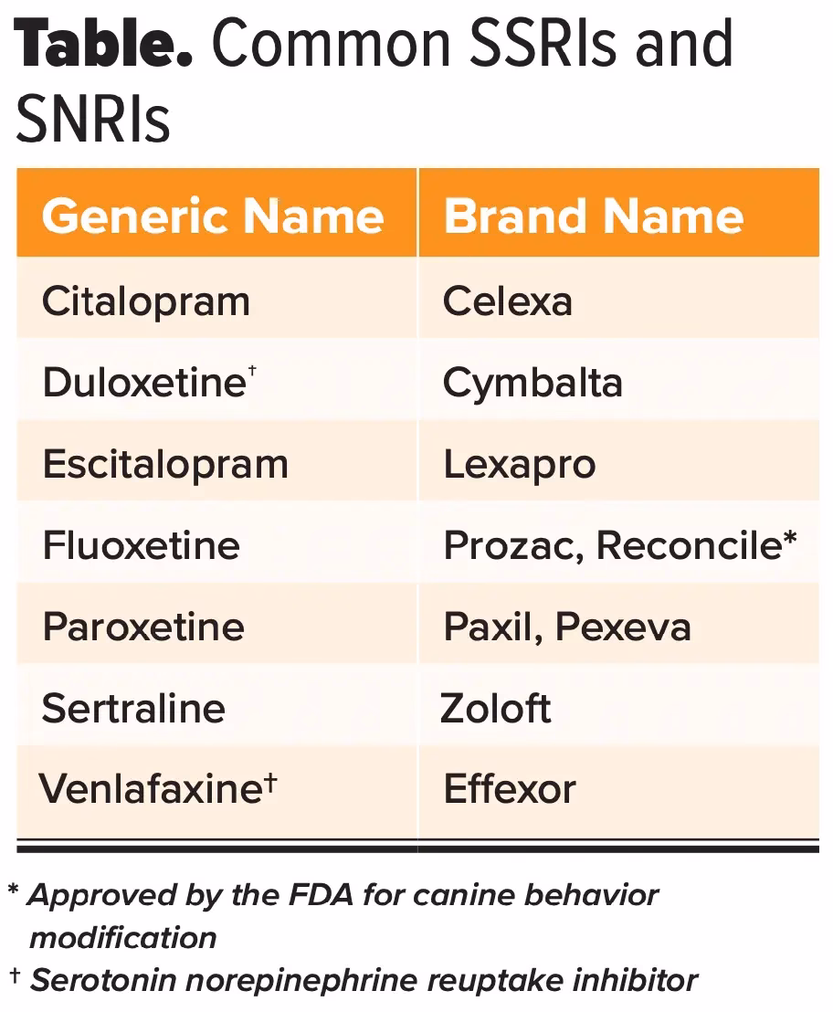 What are the different types of SSRI antidepressants?