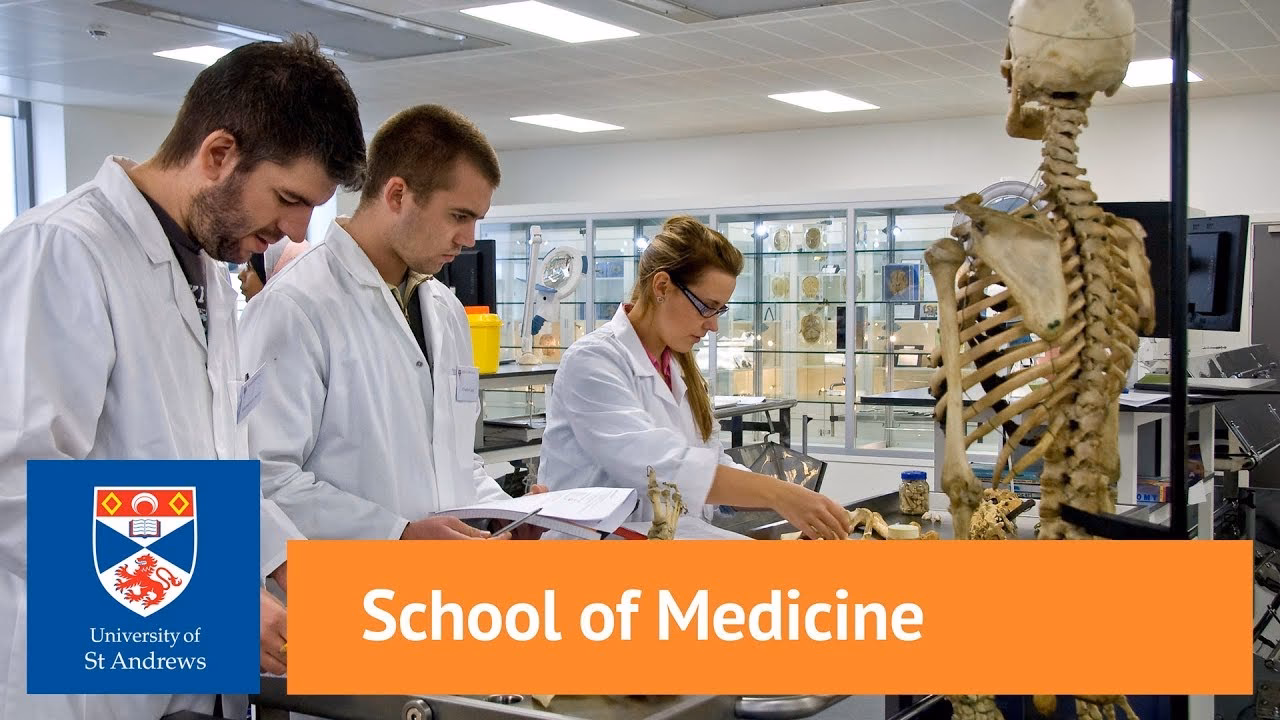 Does St Andrews offer a medical degree program?