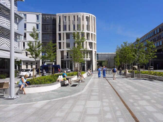 What does the board do at St Olav's Hospital?