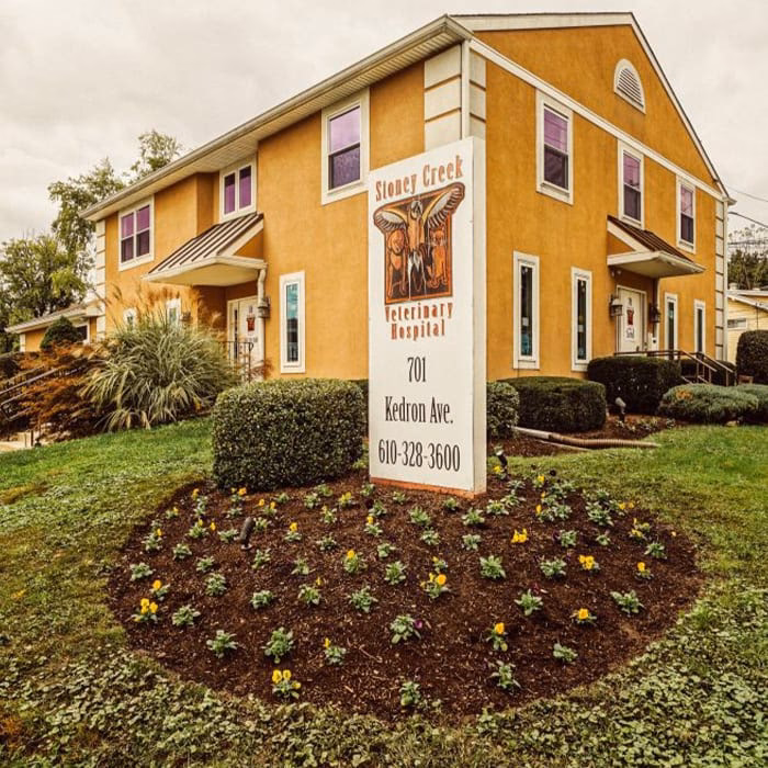 What can the Animal Hospital of Stoney Creek do for You?