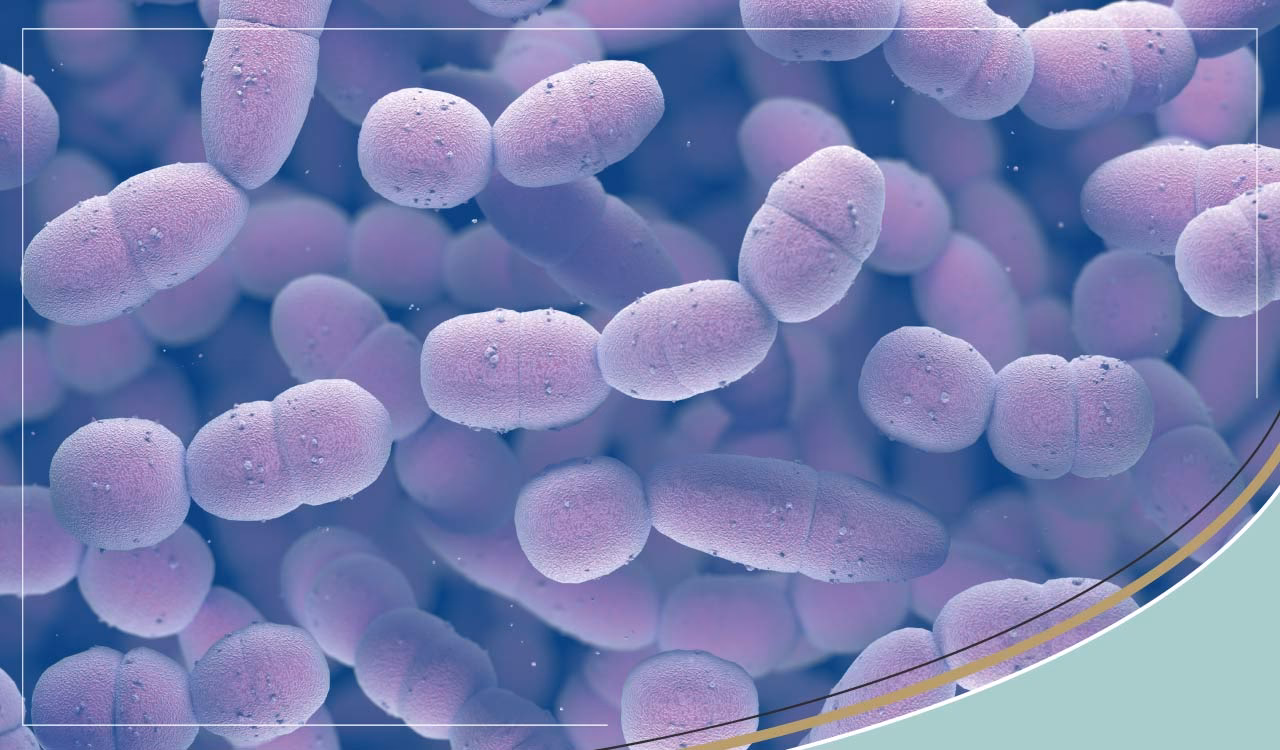 What is a group A streptococcus?