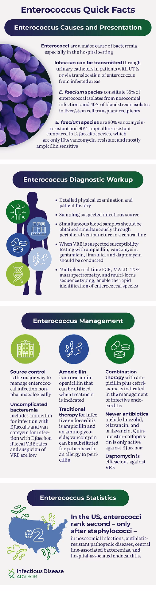 Are Enterococcus faecalis bile tolerant?
