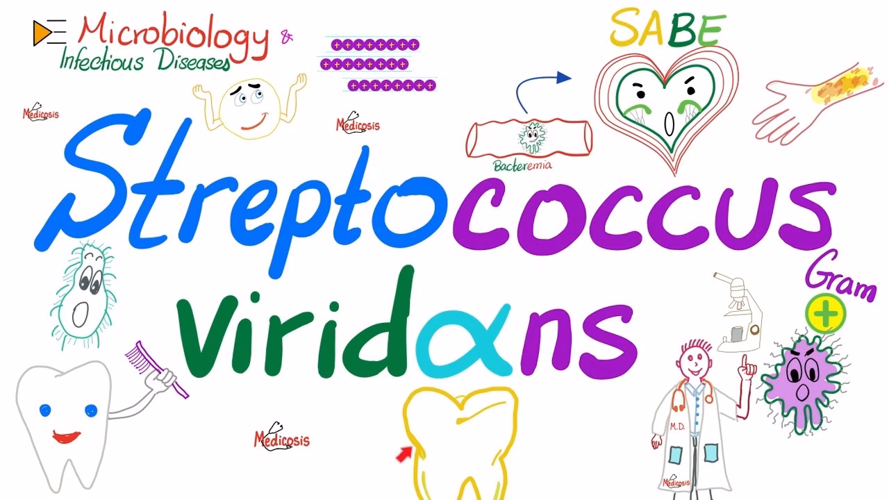 What is viridans group streptococci (VGS)?
