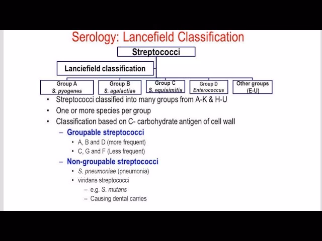 What is a non-Lancefield Streptococcus?