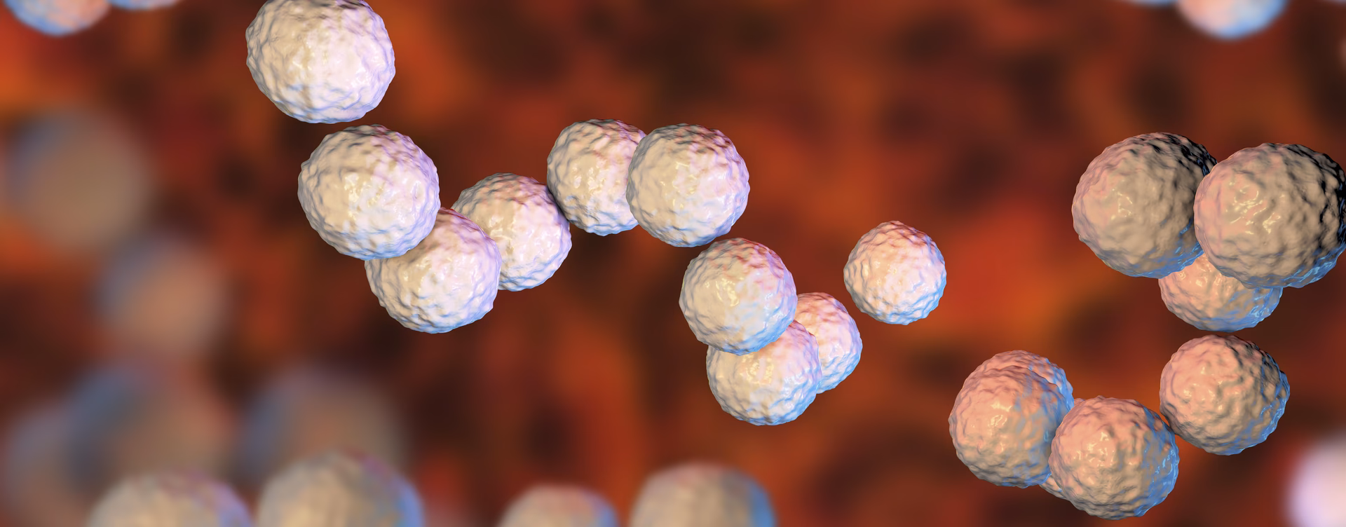 Wie wird Streptococcus pyogenes diagnostiziert?