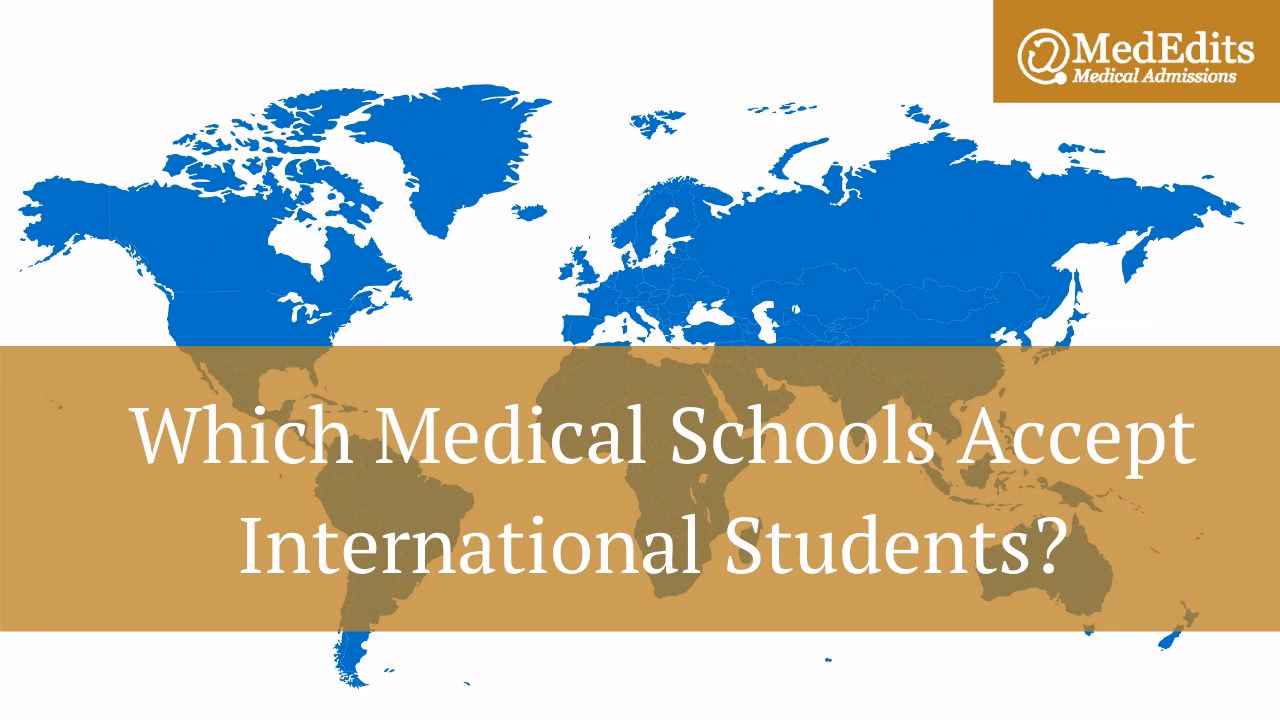 Why should international students study medicine?