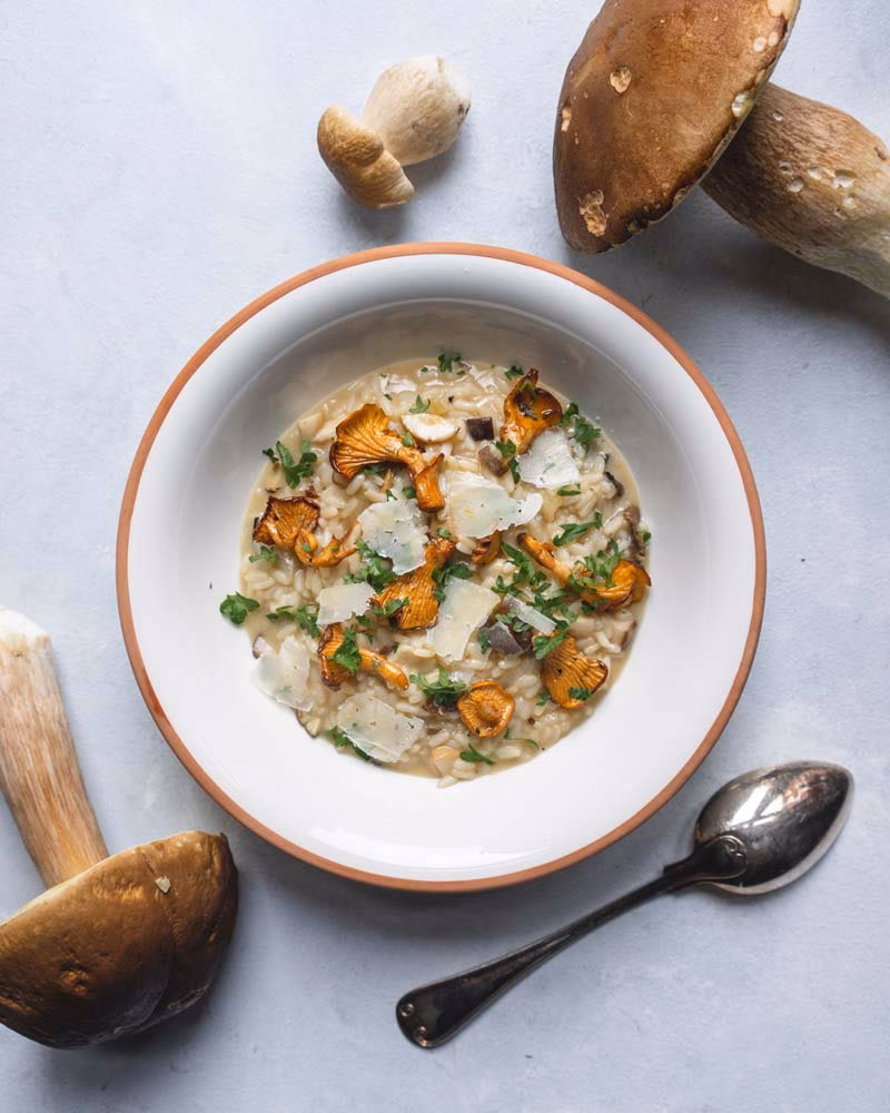 Hvad er svampesæson?