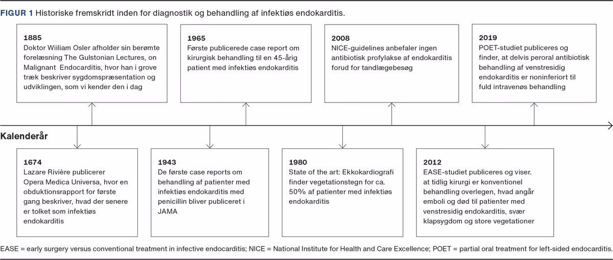 Hvad er årsagen til endokarditis?
