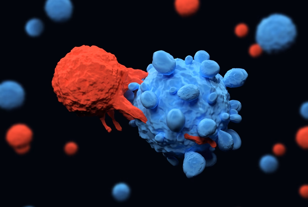 How do T cells fight cancer?