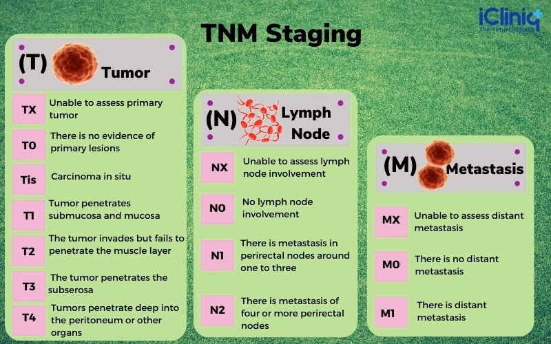 What is the AJCC cancer staging manual?