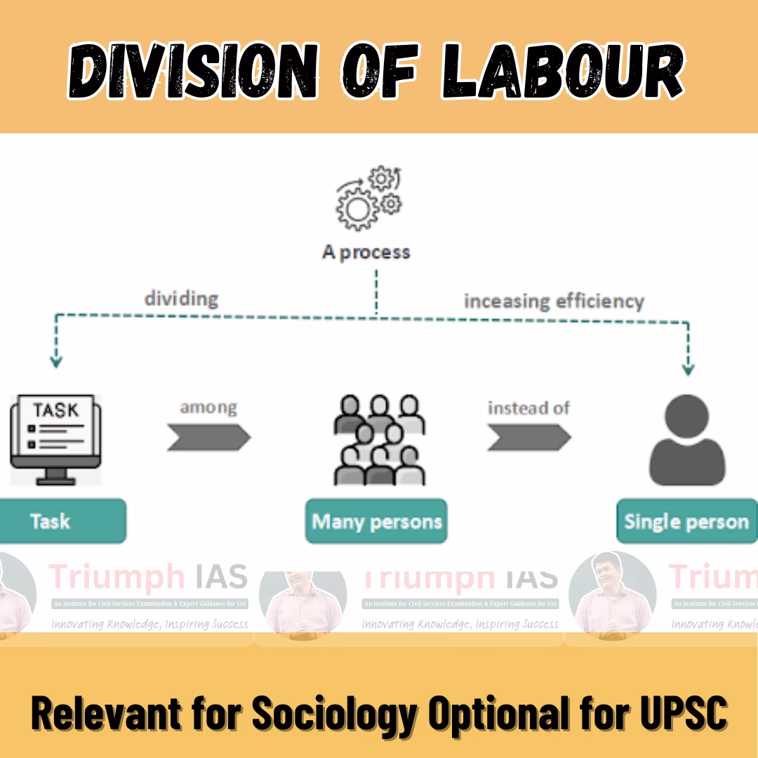What are the dimensions of division of Labor?