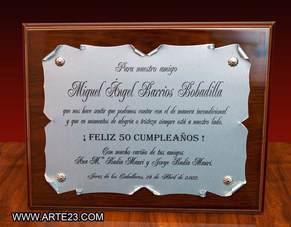 ¿Qué materiales se pueden usar para hacer placas de reconocimiento?