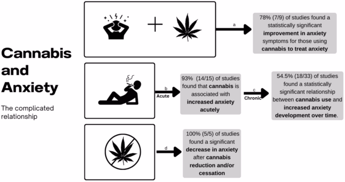 Does THC have an anxiolytic effect?