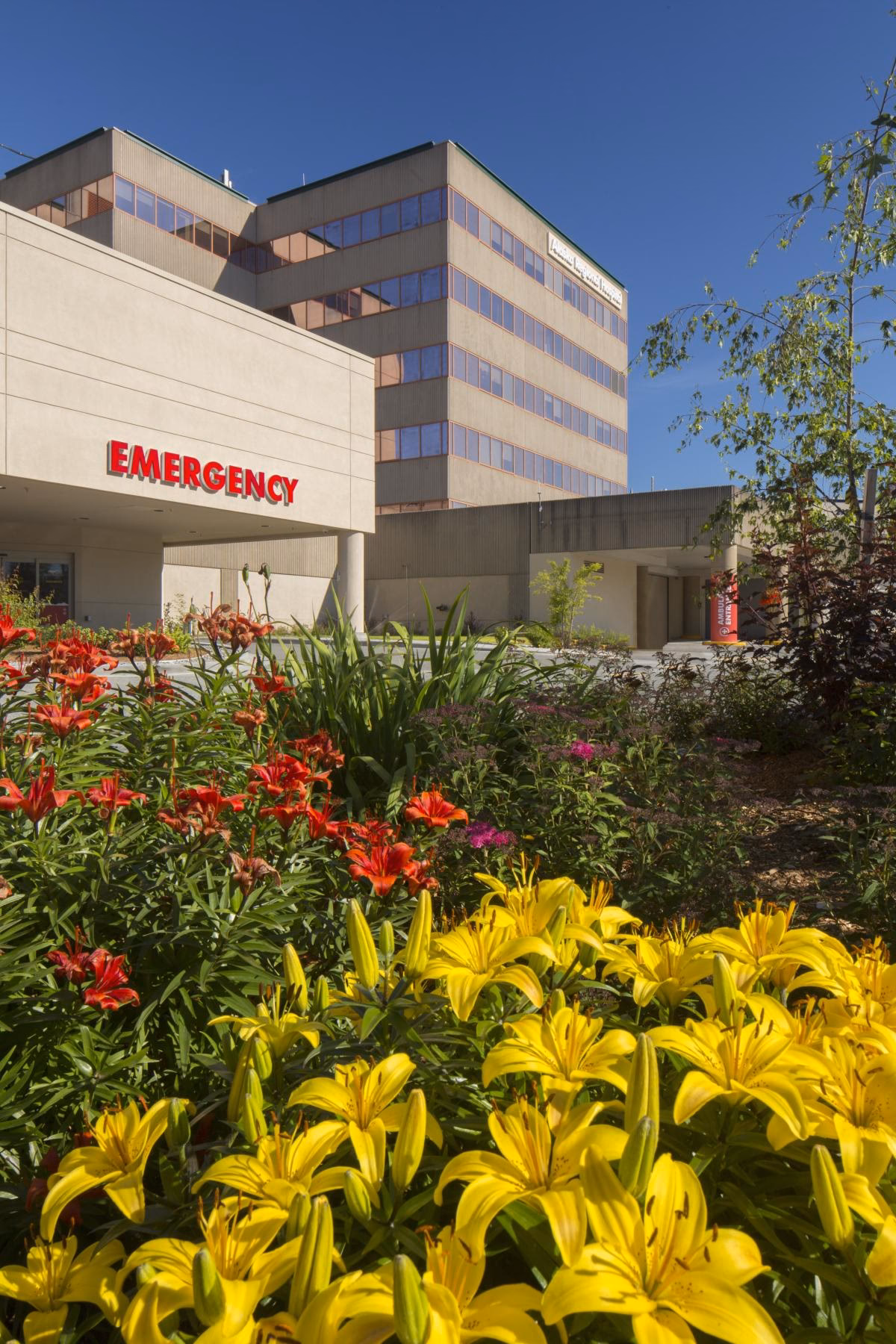 Where can I get health care in Anchorage?