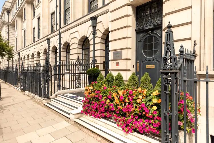 Who is the Harley Street Clinic?