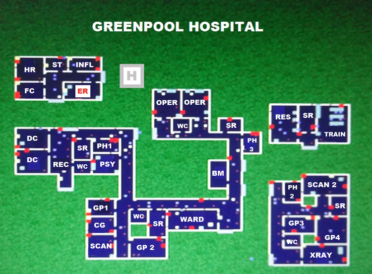 How do I advance to a level in Theme Hospital?