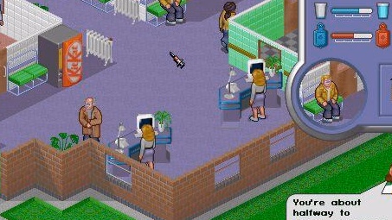 Why is Theme Hospital so popular?
