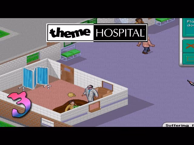 Does Theme Hospital have a strategy guide?