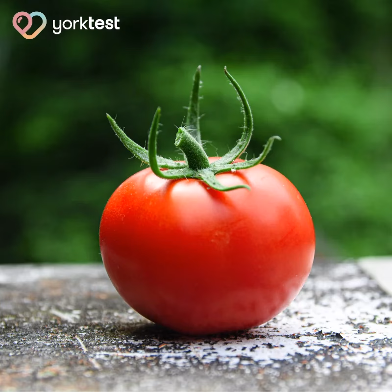 Is lycopene a lipophilic antioxidant in tomato?
