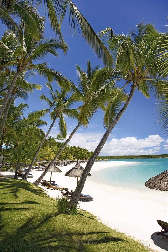 Where can I find unique travel experiences in Mauritius?