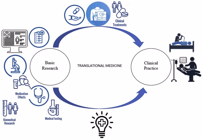 What does translational mean?