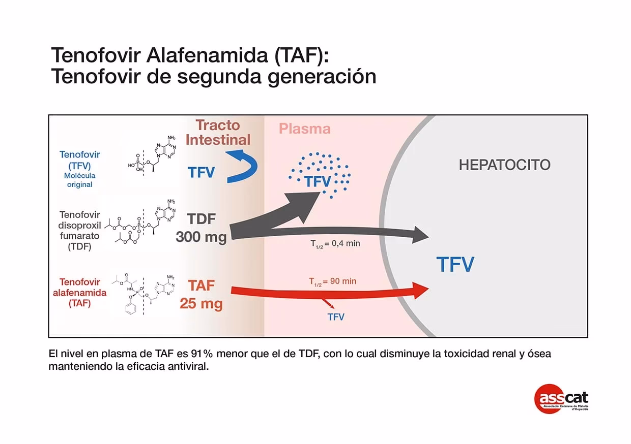 ¿Cuál es el tratamiento de la hepatitis vírica aguda?