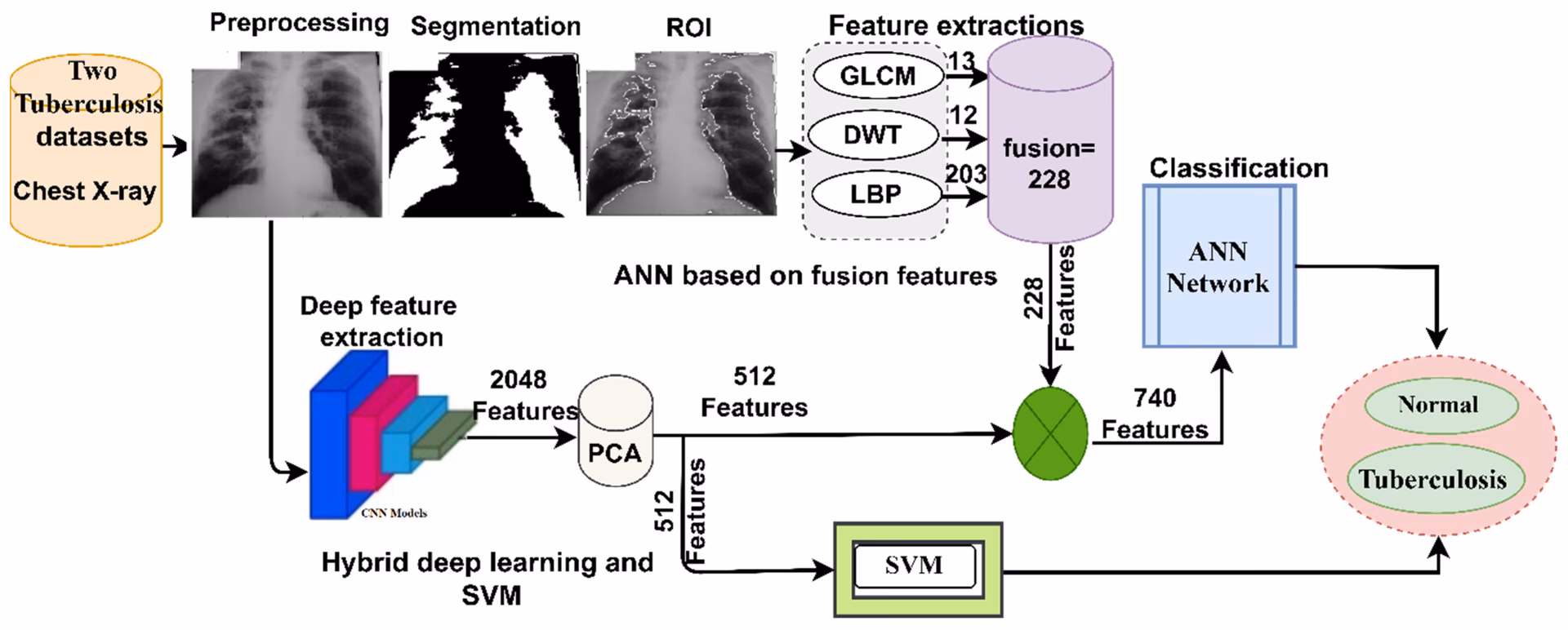 What is the who Global Programme on tuberculosis & lung health?