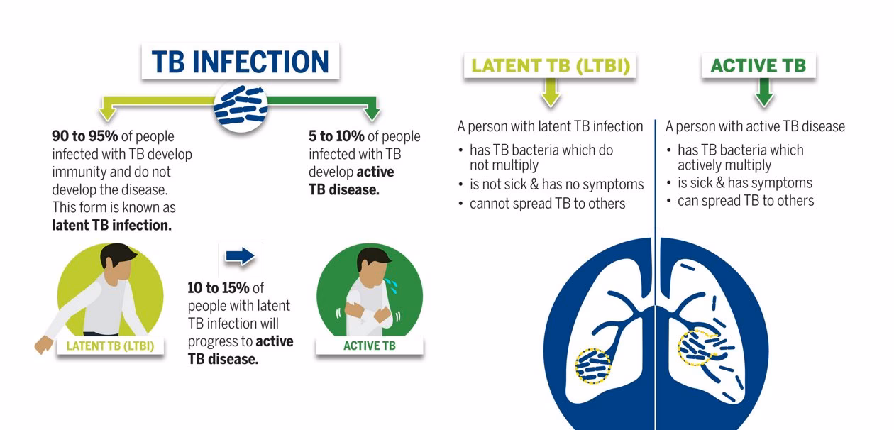 ¿Cuándo se creó el Instituto de Tuberculosis?