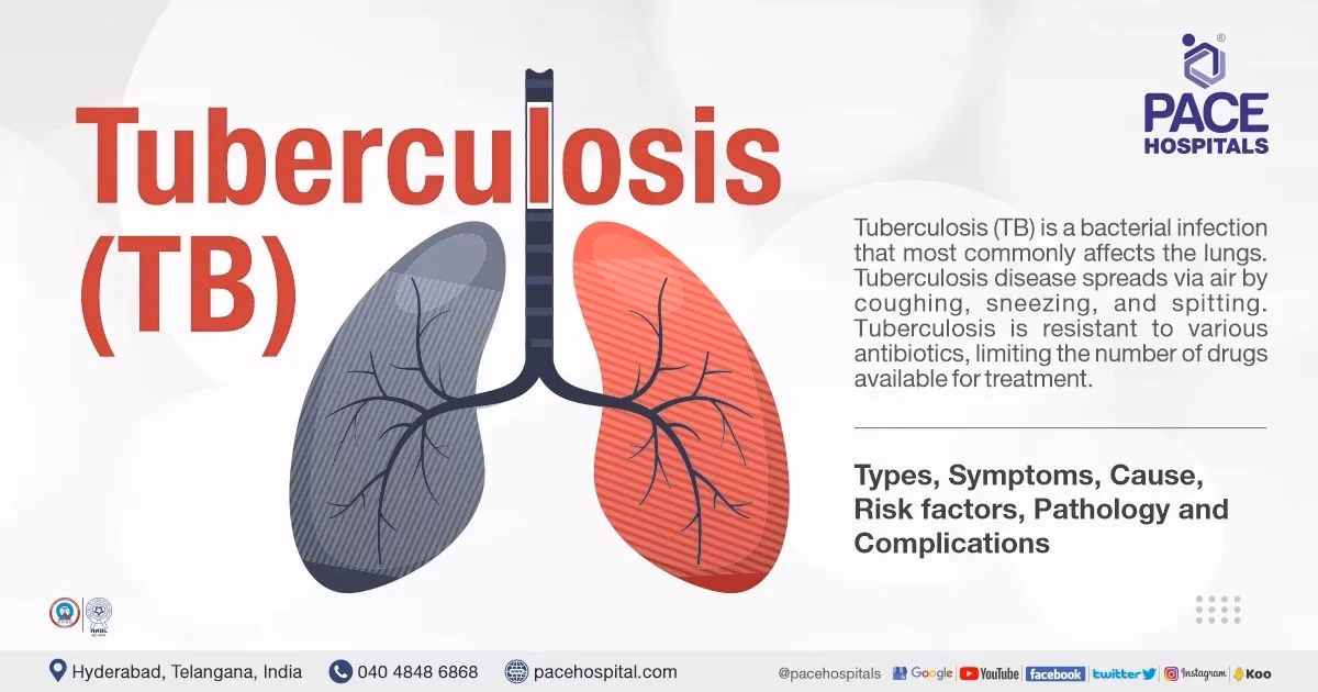 What is tuberculosis noun?