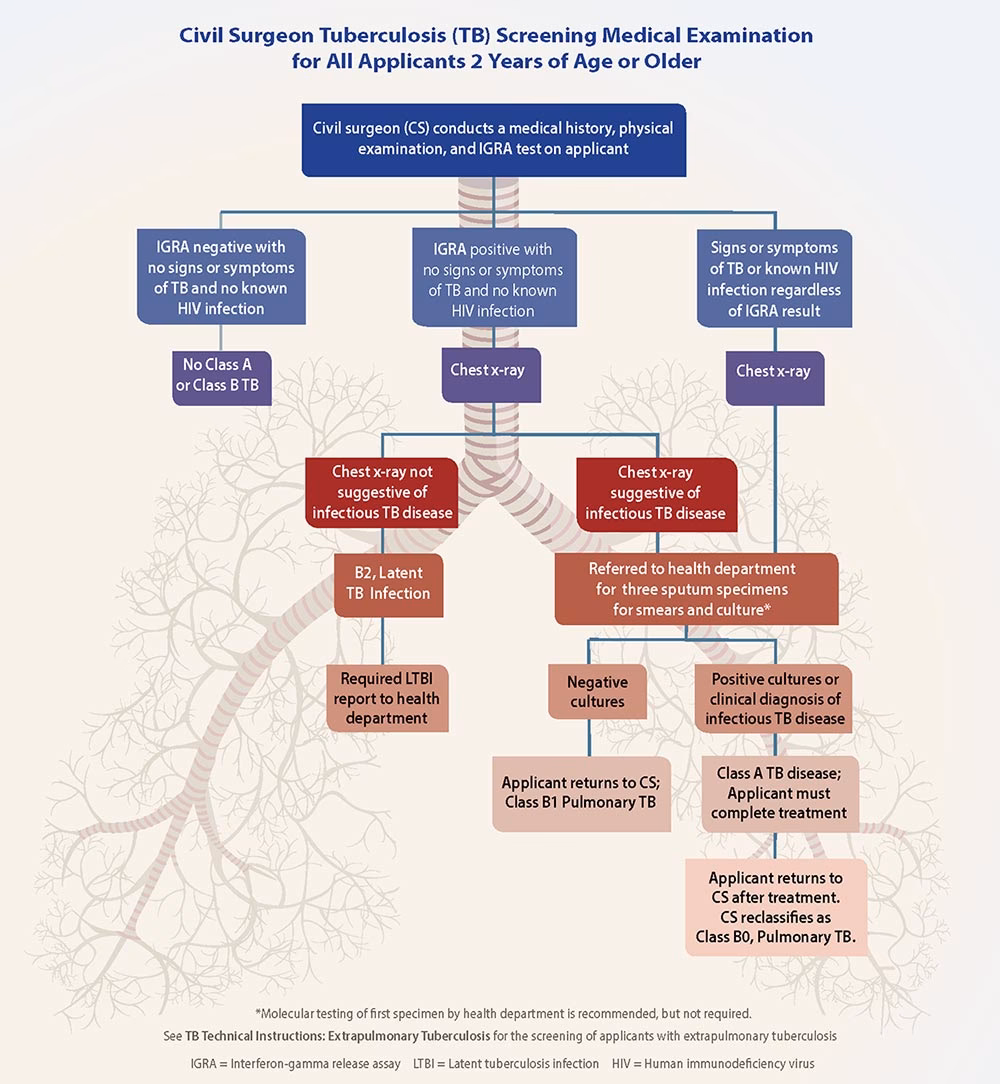 What is the TB guideline Handbook?