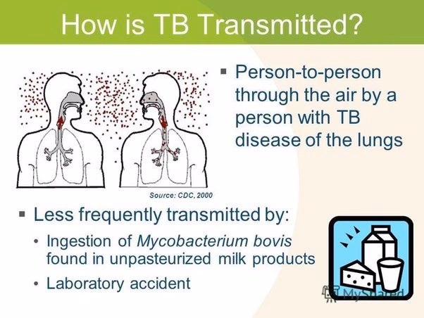 How does TB spread?