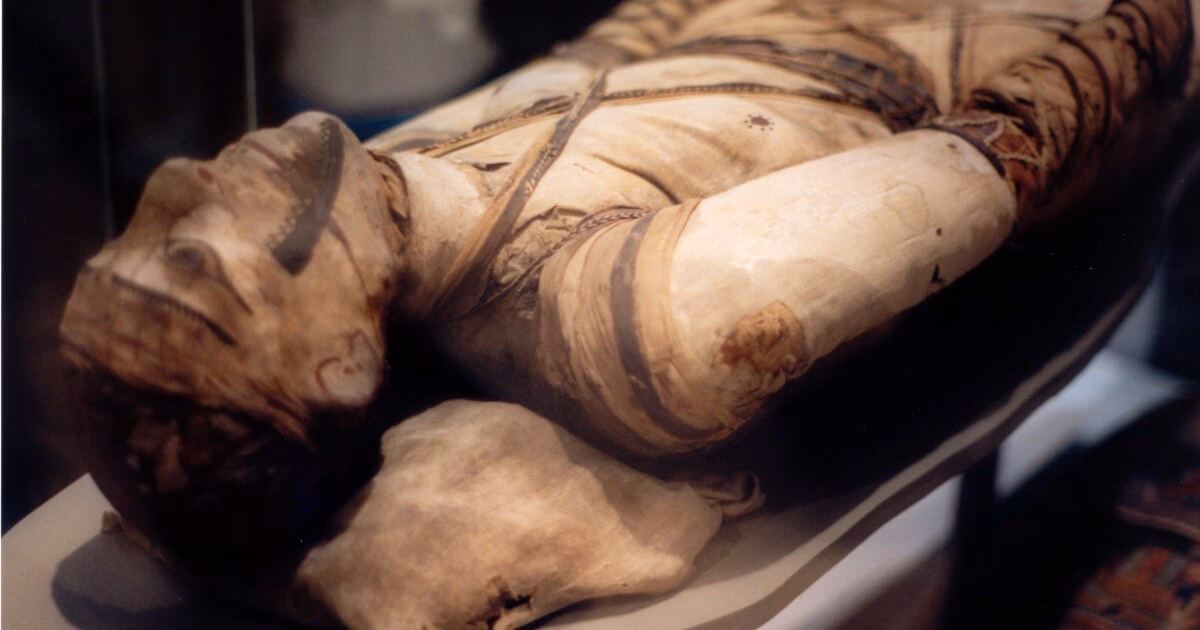 Can mummies detect tuberculosis?