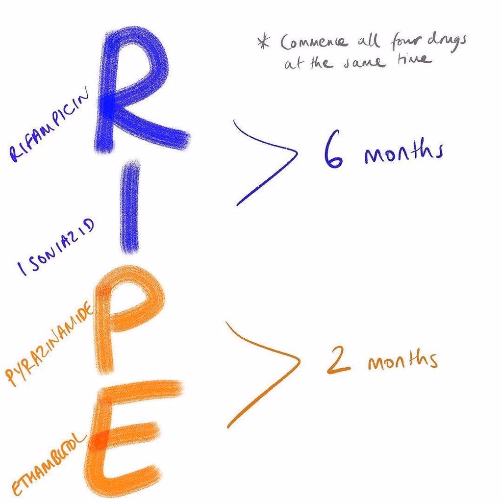 What is ripe therapy for tuberculosis?