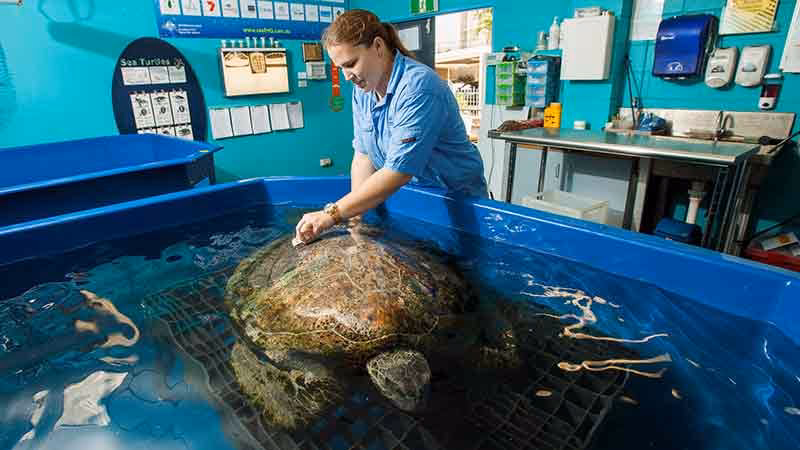 What is Townsville Hospital?