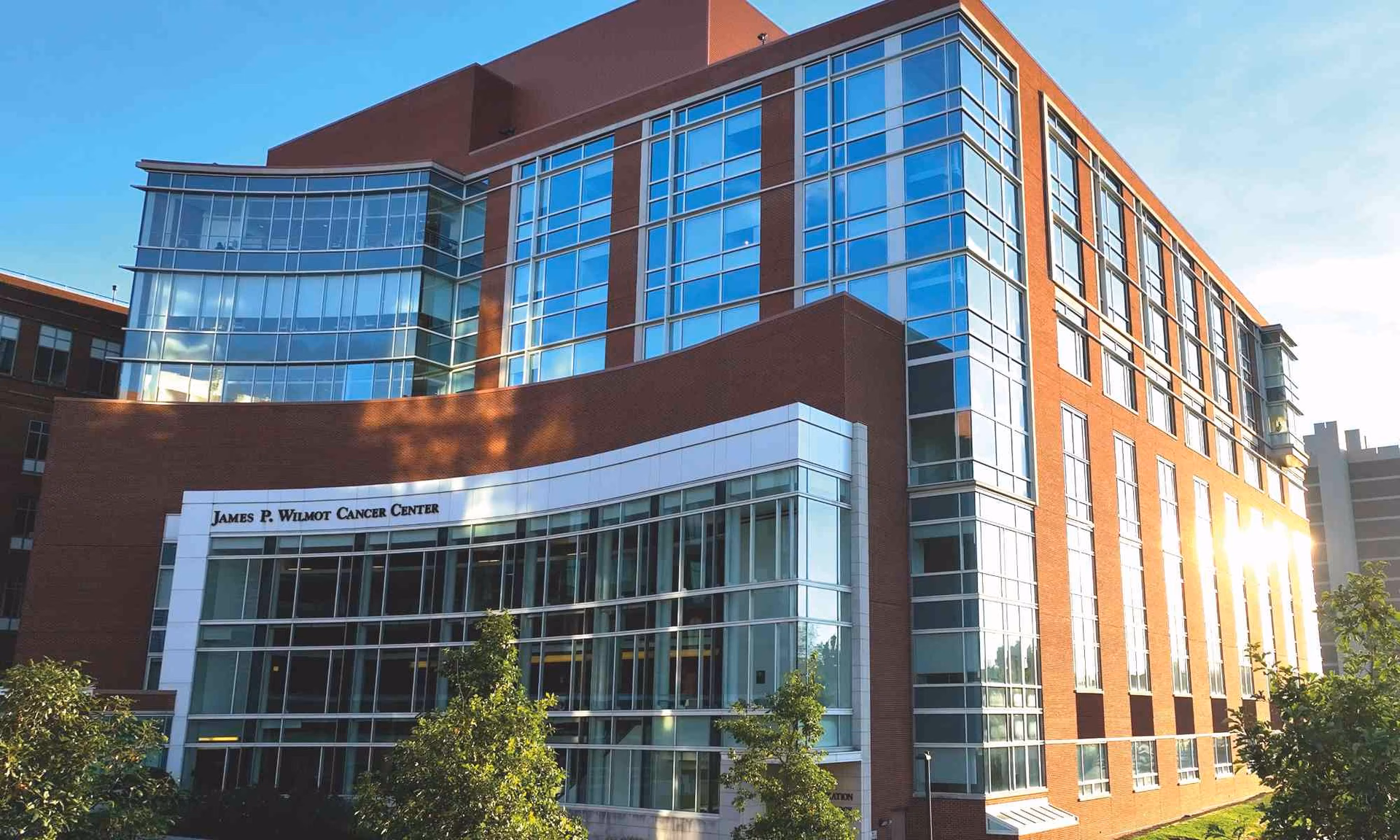 Why do scientists work at University of Rochester?