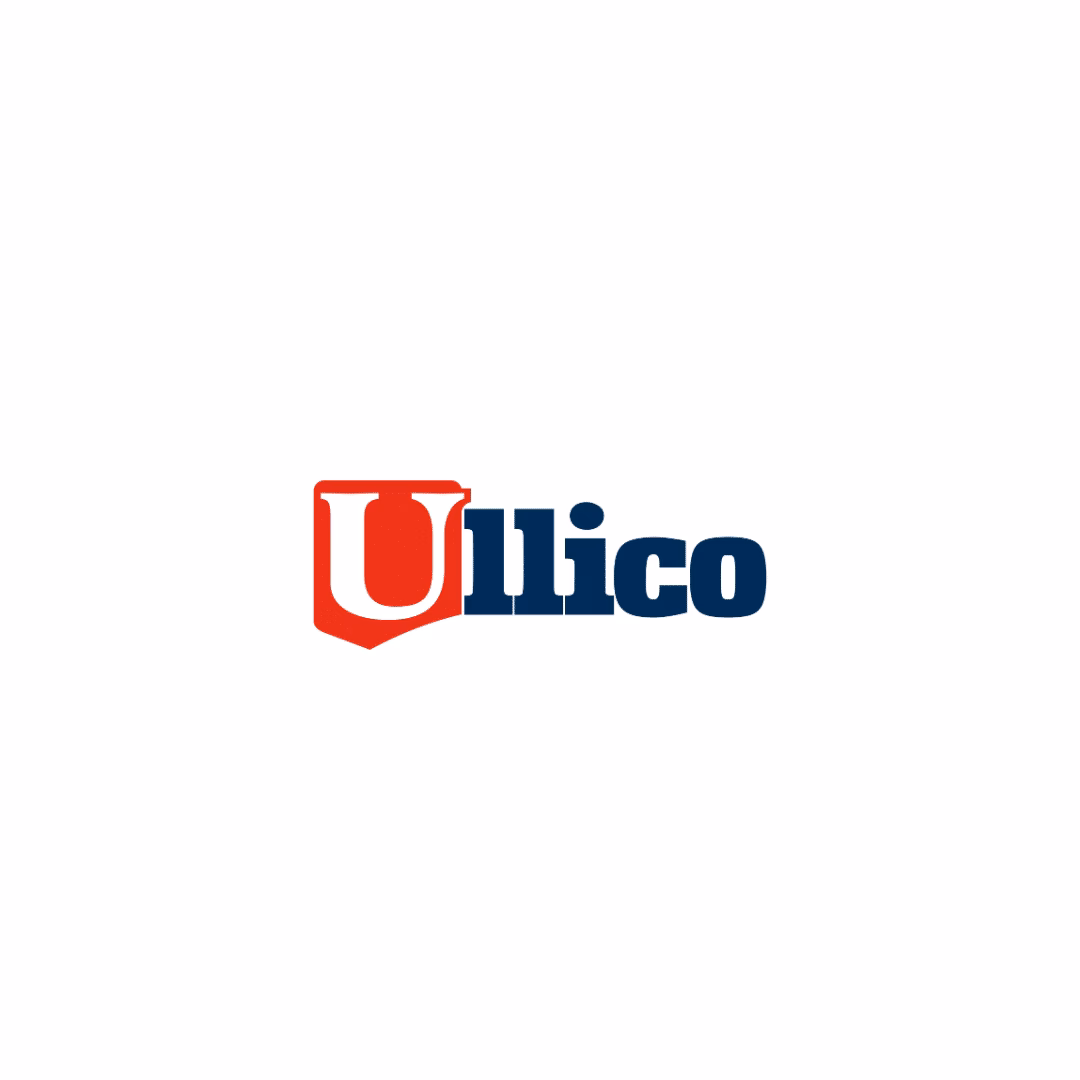 Does Ullico offer insurance?