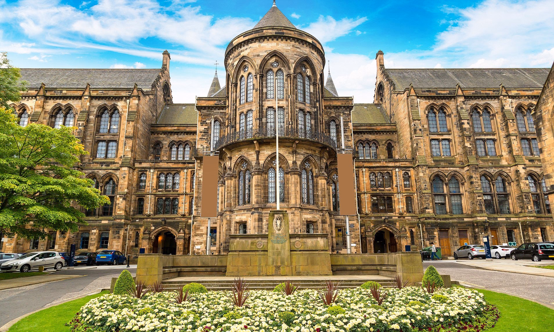 How many undergraduate Medicine degree courses are there in Scotland?