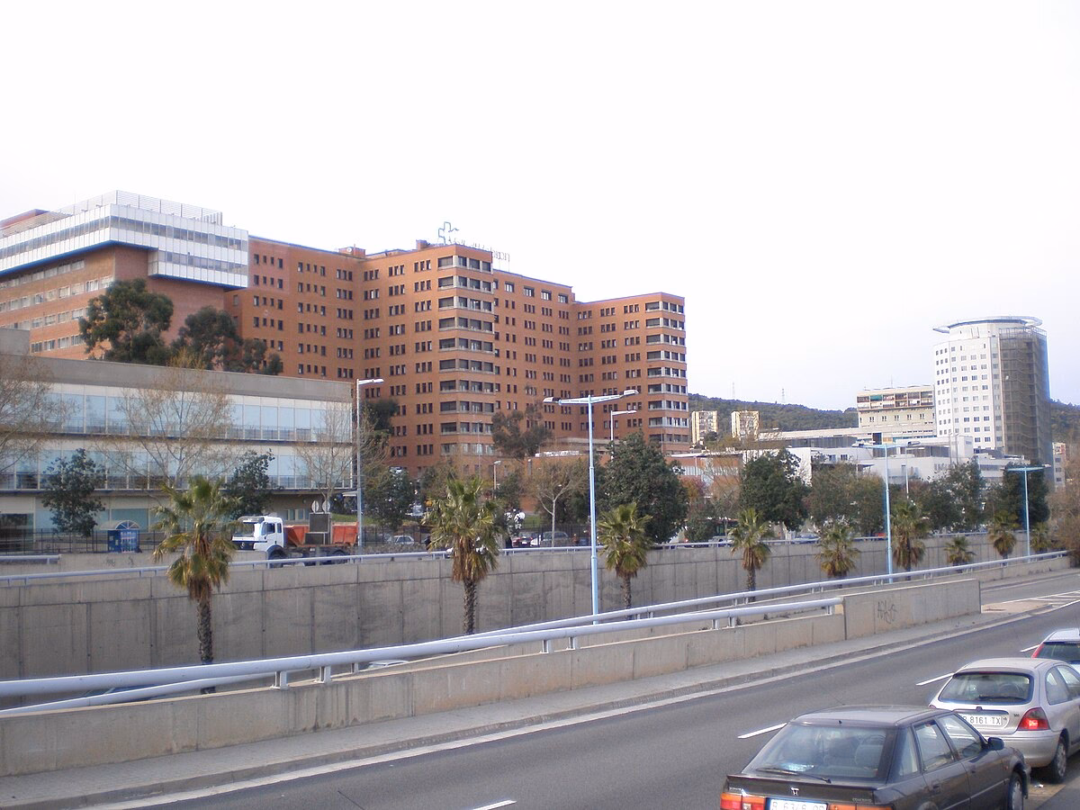 What is Vall d'Hebron University Hospital?