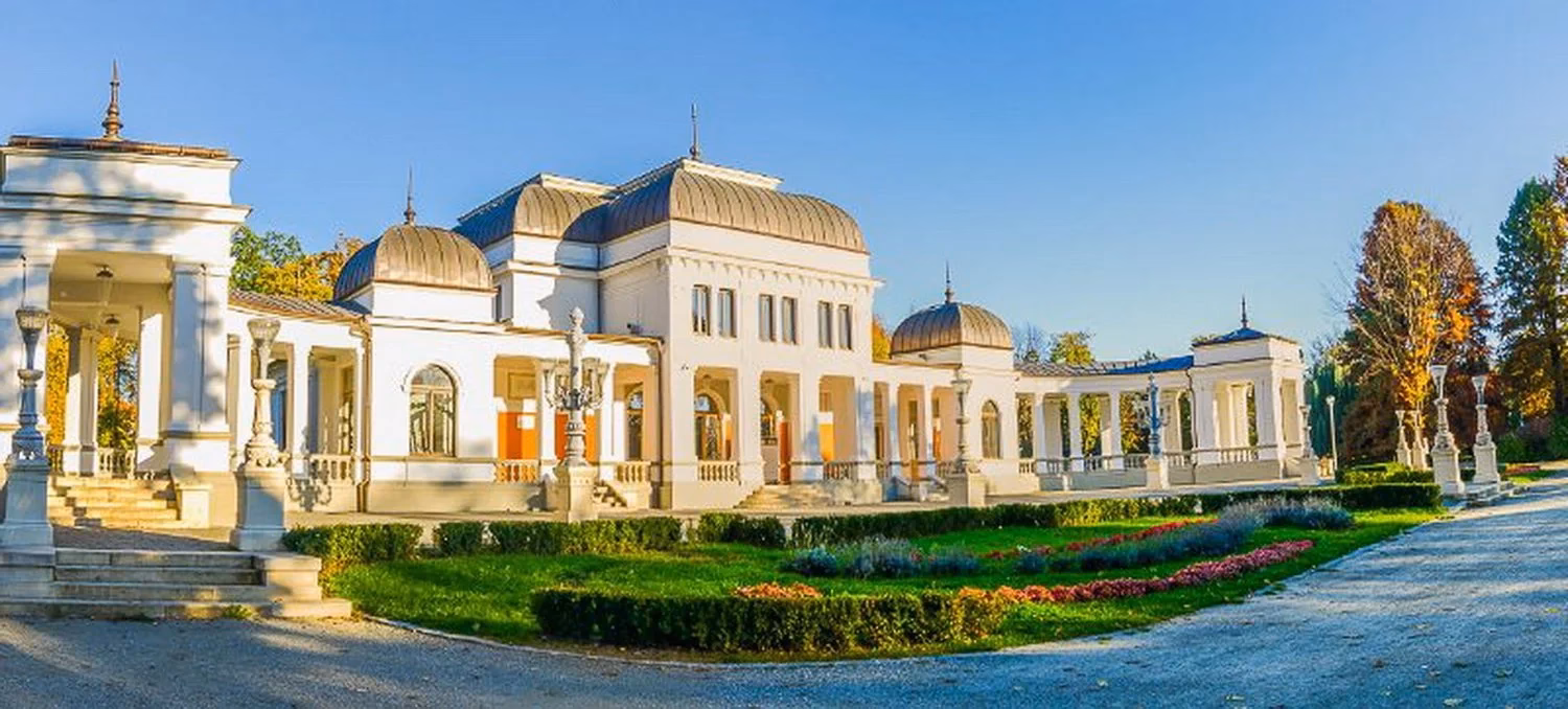 Who is Iuliu Haţieganu University of Medicine & Pharmacy Cluj-Napoca?