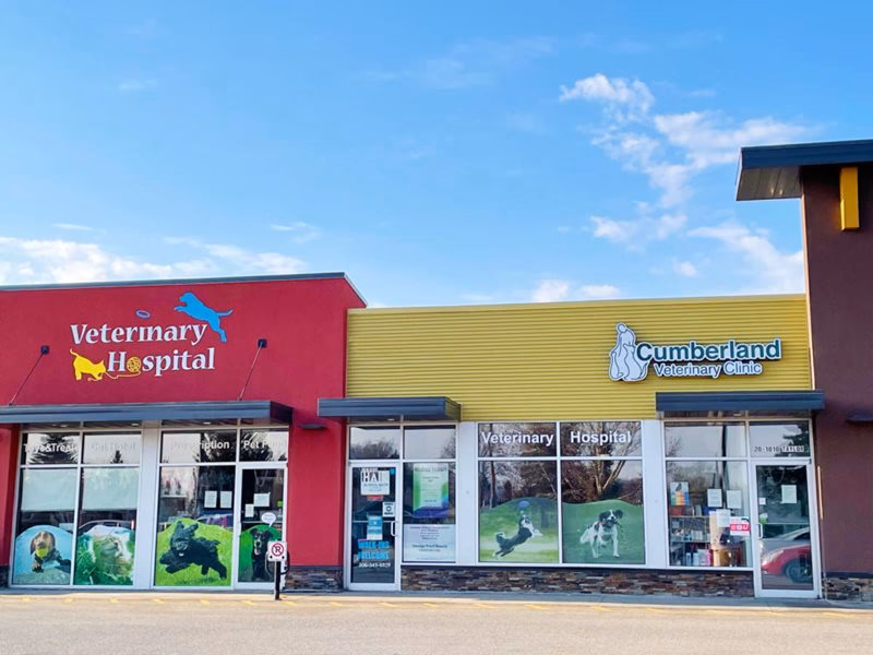 Where is pets & vets in Saskatoon?