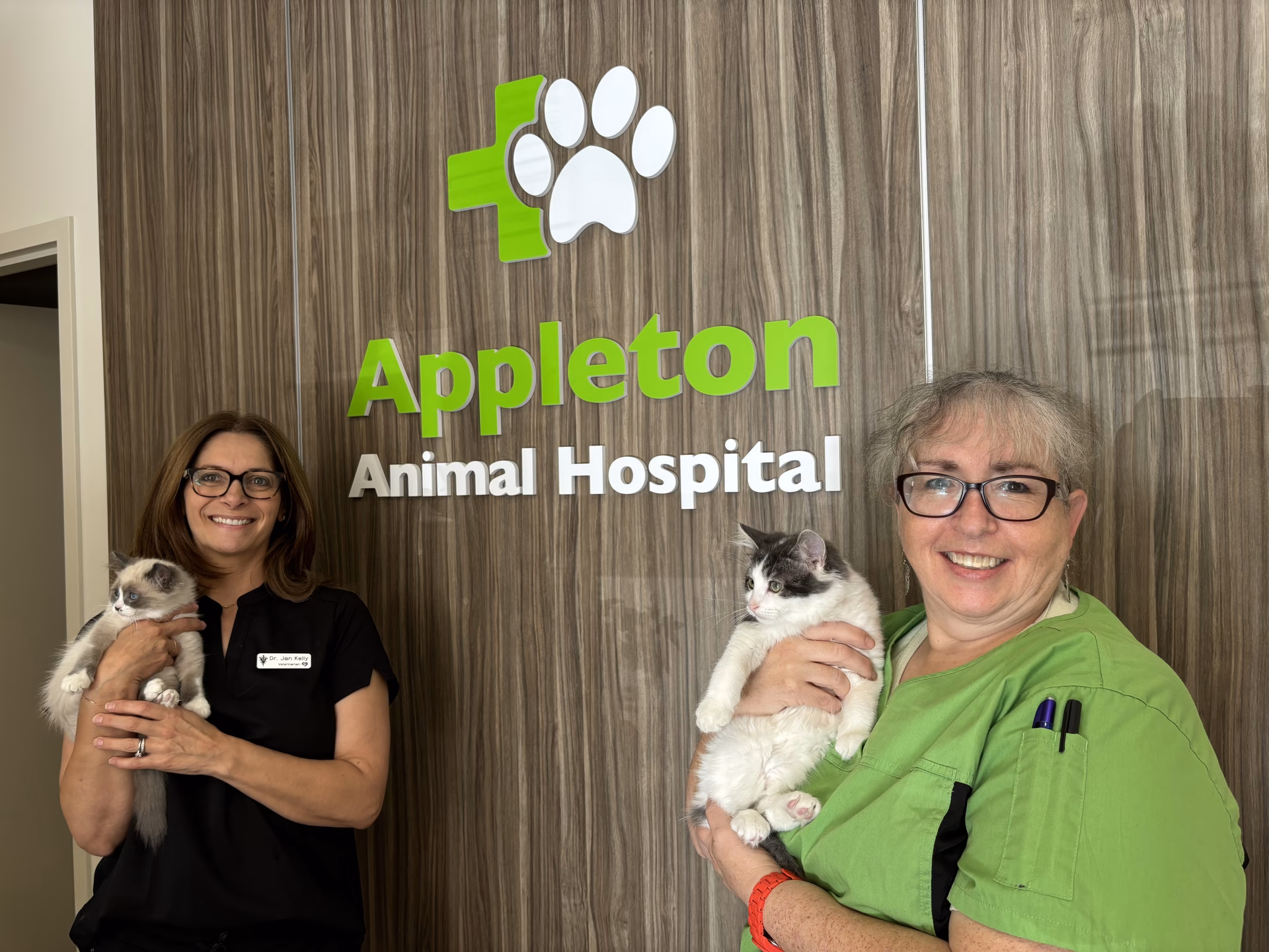 Does VCA Aurora animal hospital have a veterinary team?