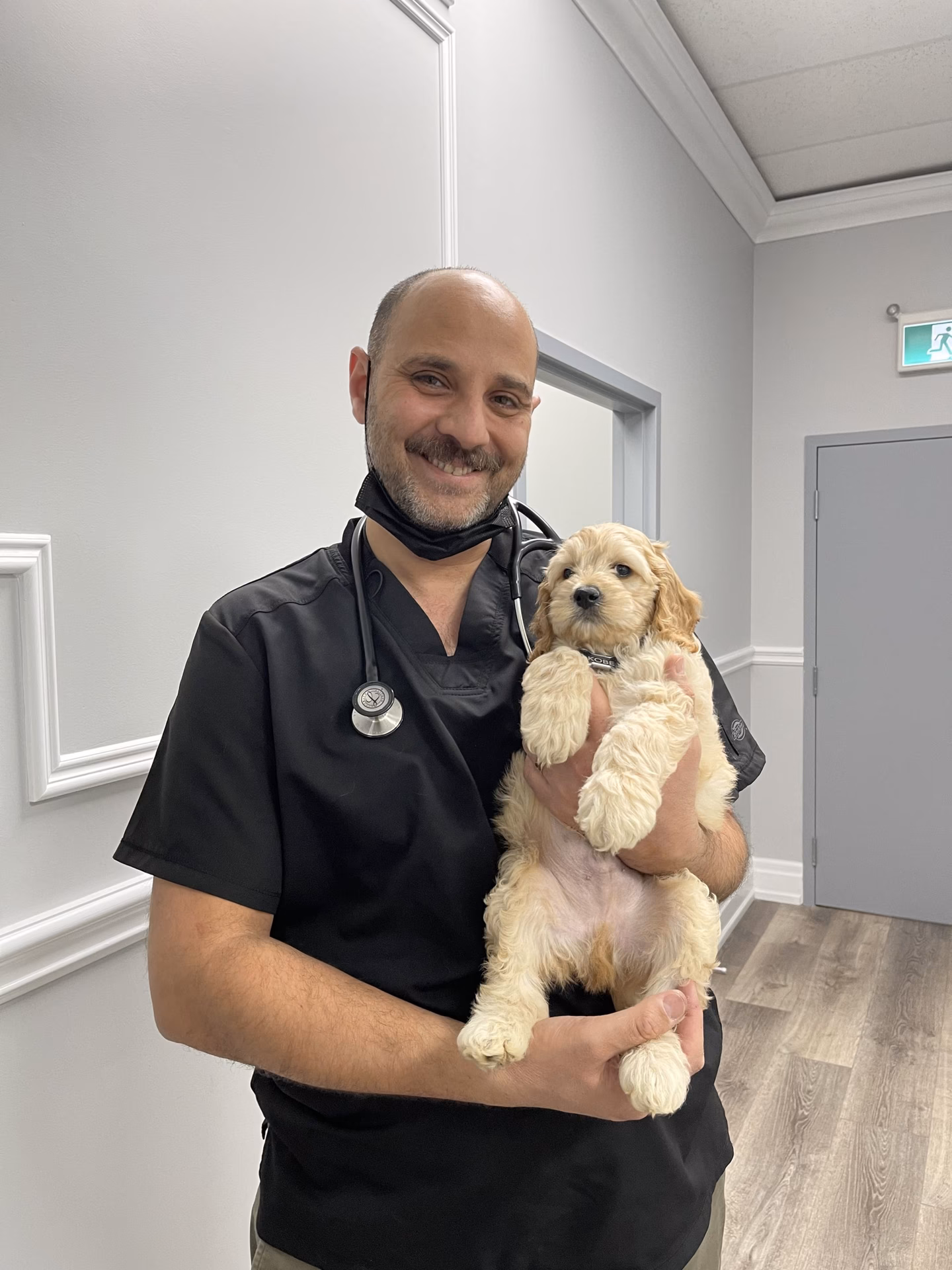 How good is Waterdown animal hospital?
