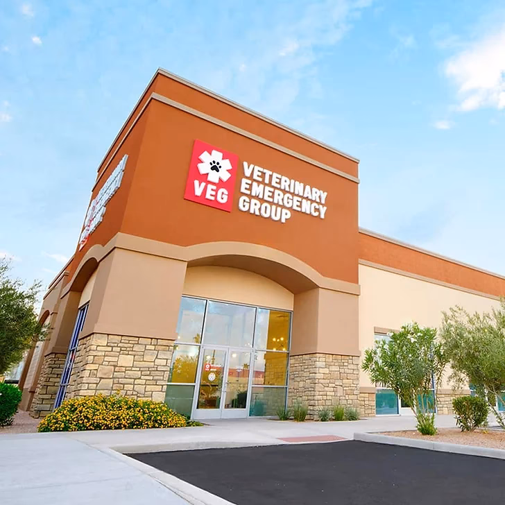 Where can I get a veterinary appointment in Arizona?