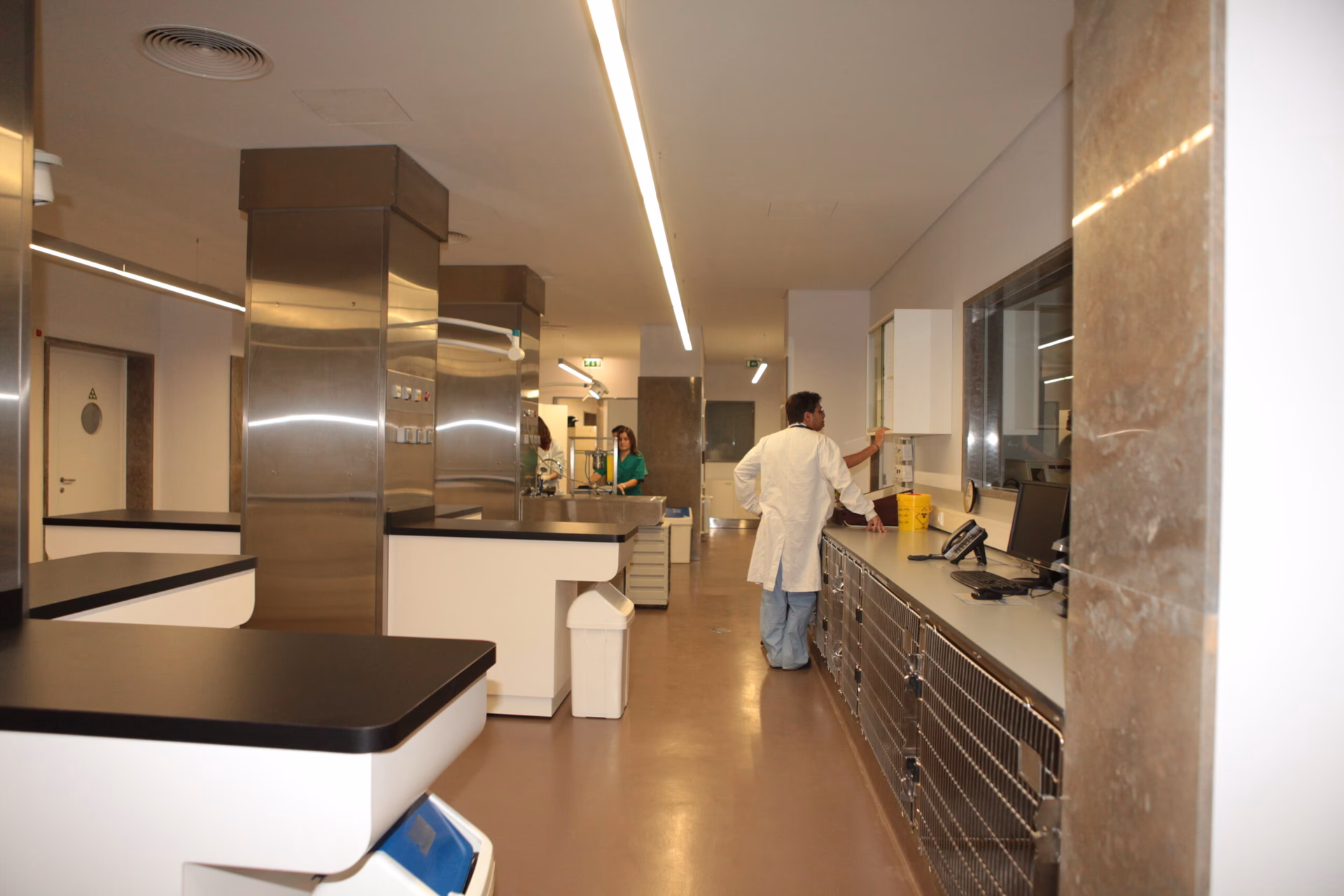 Quais serviços são oferecidos no upvet?