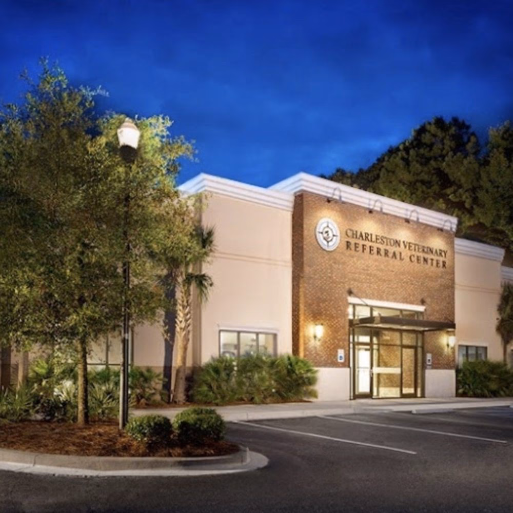 Where can I find a good vet clinic in North Charleston?