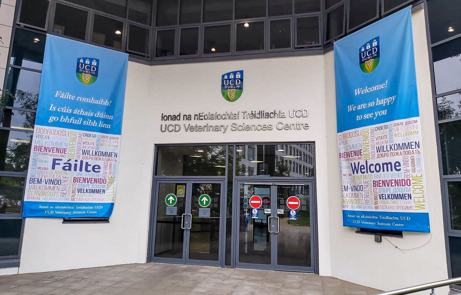 How can I become a vet in Ireland?