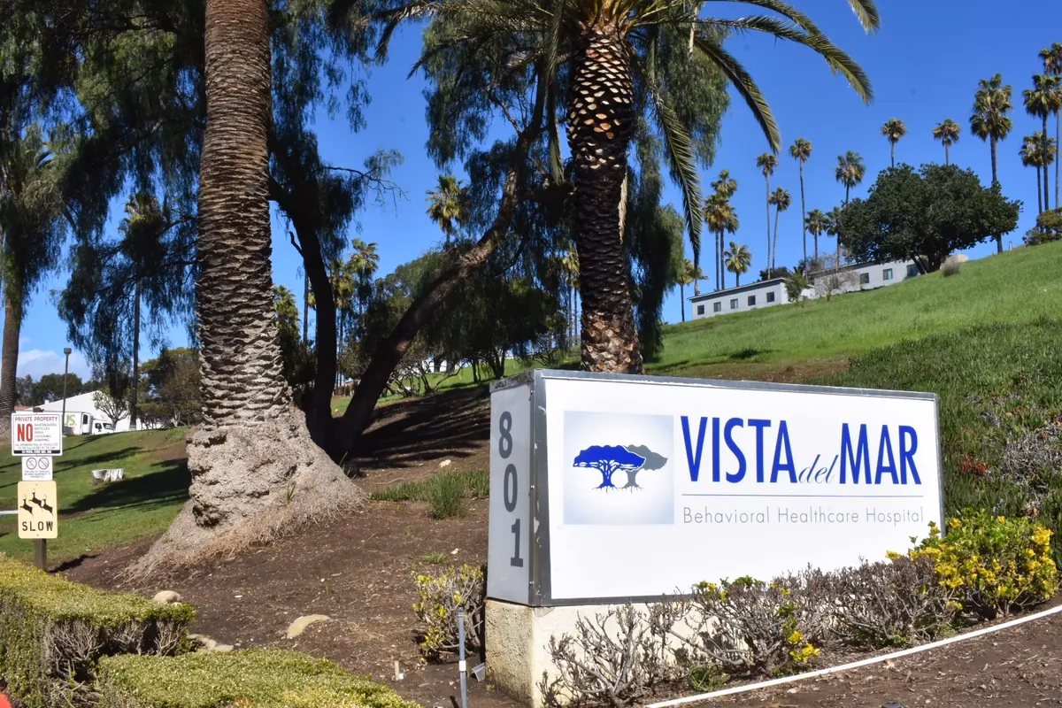 What does the CEO of Vista Del Mar hospital do?