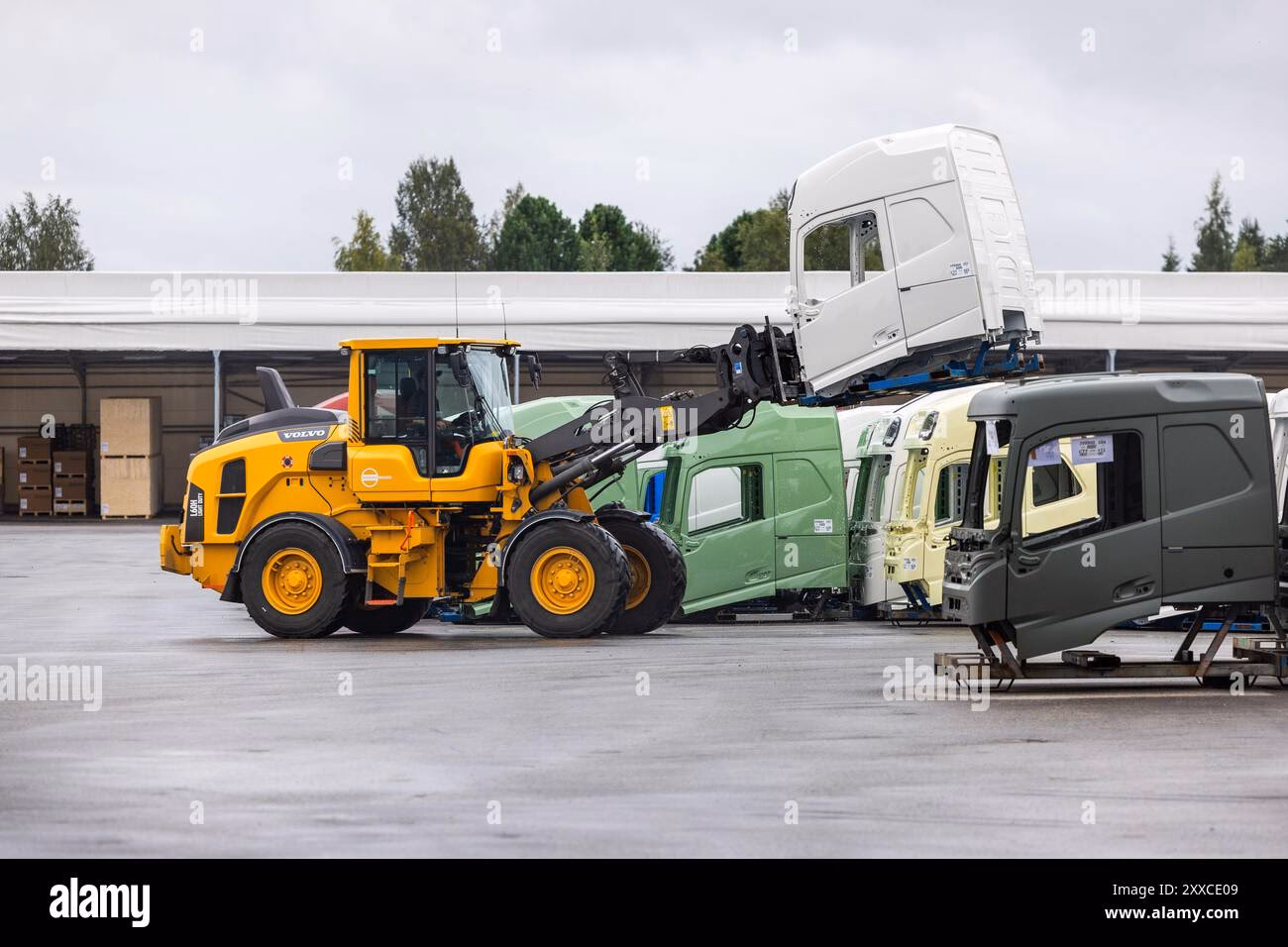 What is Volvo Group purchasing organization?