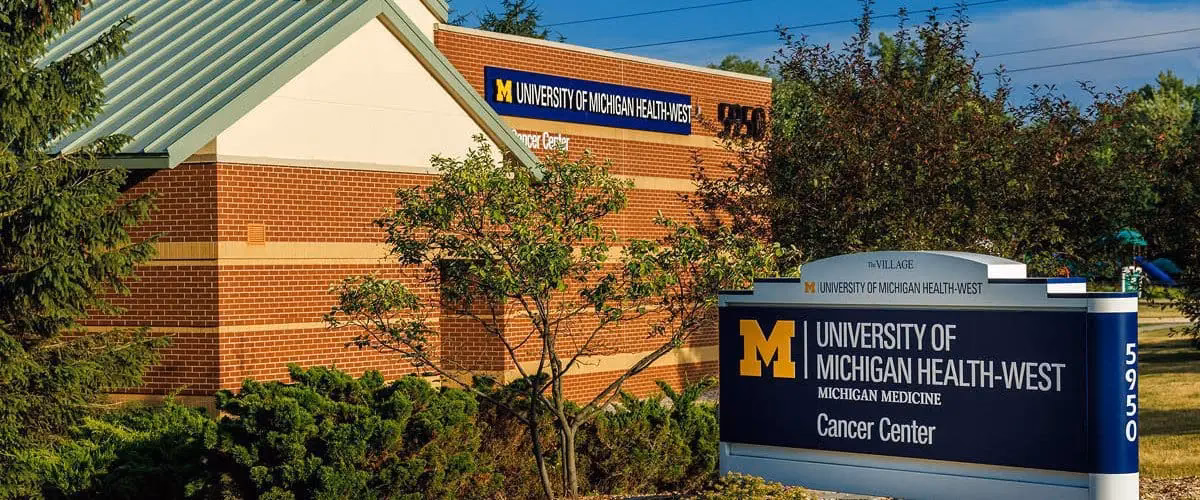 Where can I find information about cancer in Michigan?