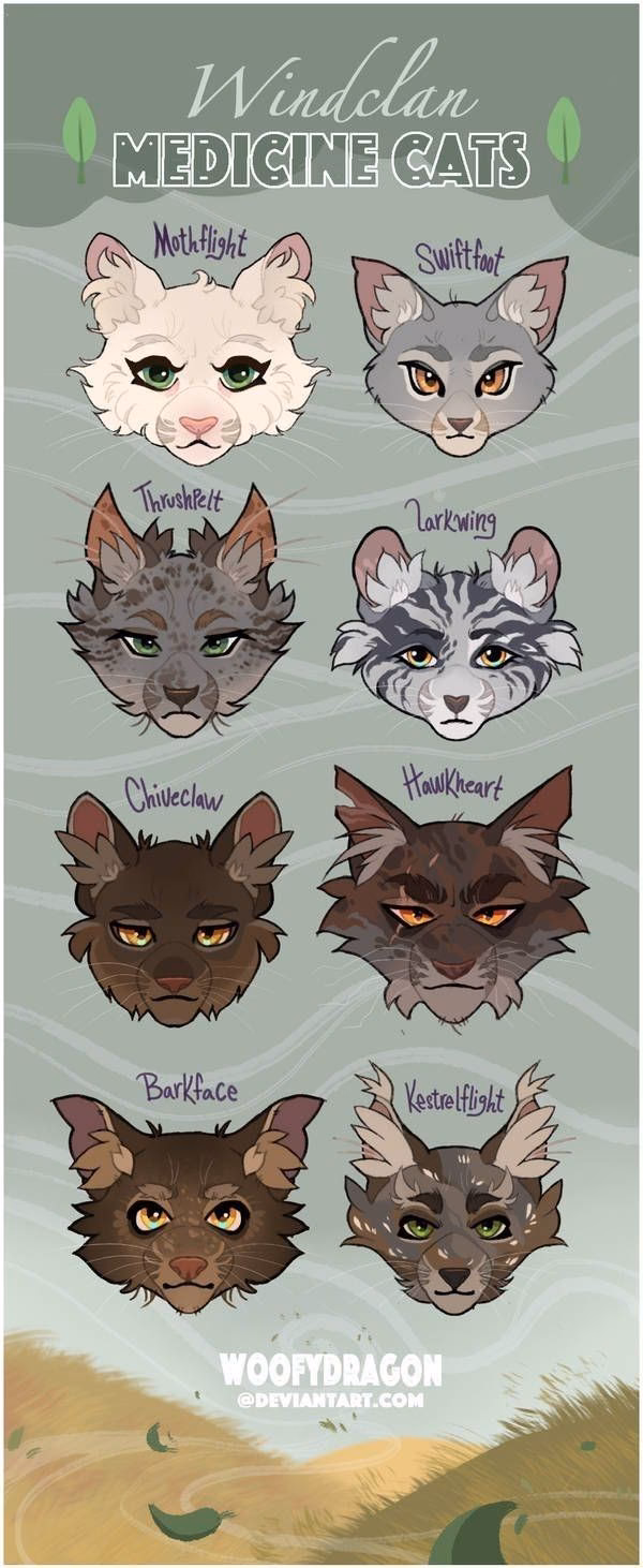 How do I choose a warrior cat name?